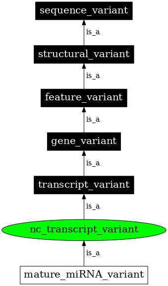 Graph image for SO:0001619