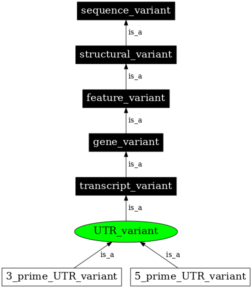 Graph image for SO:0001622