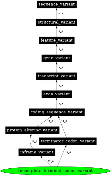 Graph image for SO:0001626