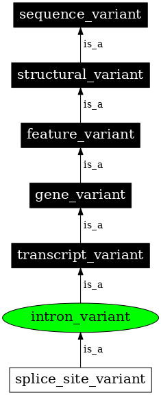 Graph image for SO:0001627