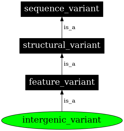Graph image for SO:0001628
