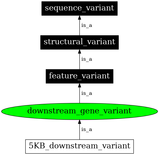 Graph image for SO:0001632