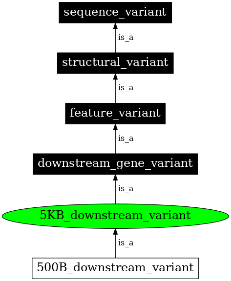 Graph image for SO:0001633