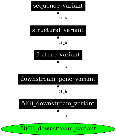 Graph image for SO:0001634