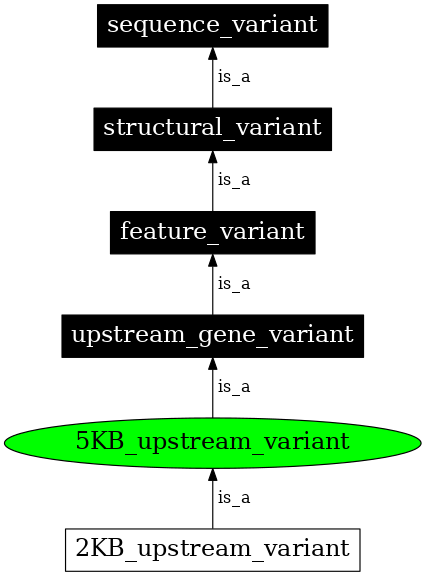 Graph image for SO:0001635