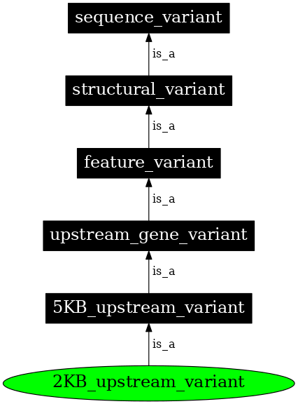 Graph image for SO:0001636