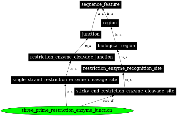 Graph image for SO:0001690