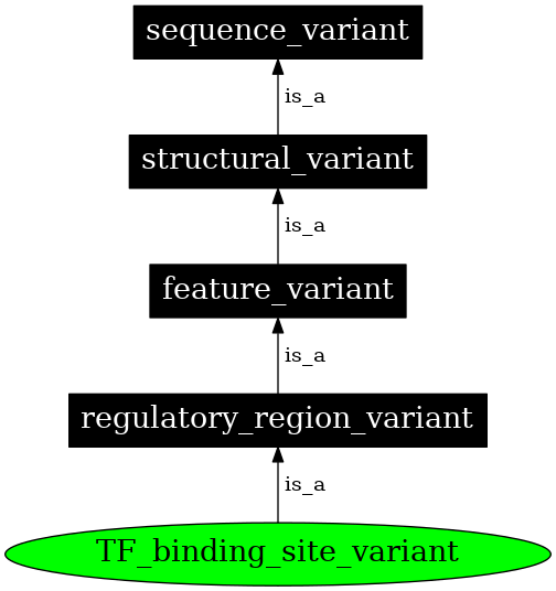 Graph image for SO:0001782