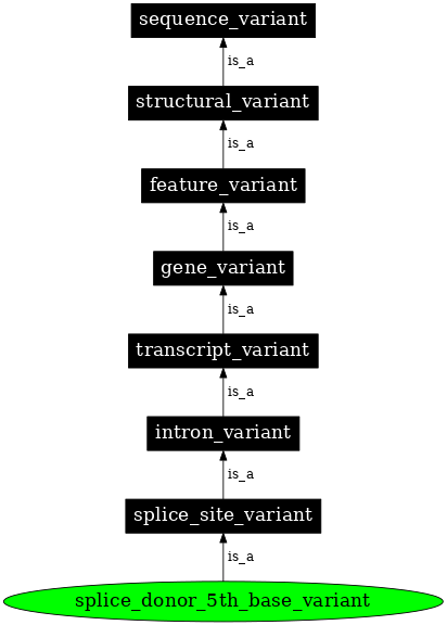 Graph image for SO:0001787