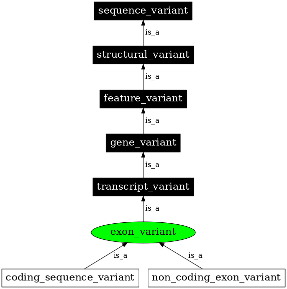 Graph image for SO:0001791