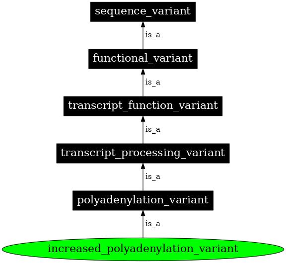 Graph image for SO:0001802