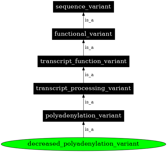 Graph image for SO:0001803