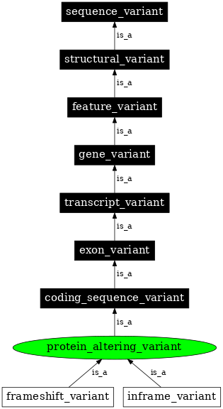 Graph image for SO:0001818