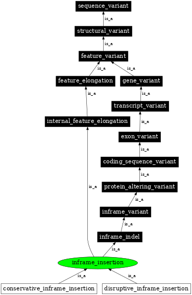Graph image for SO:0001821