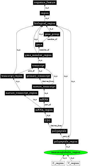 Graph image for SO:0001832
