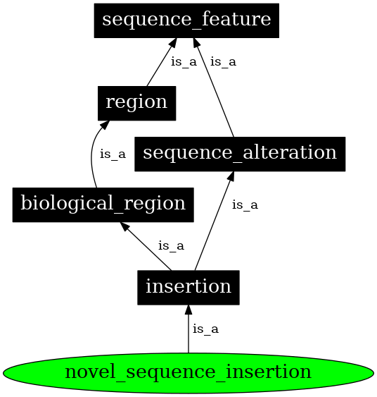 Graph image for SO:0001838