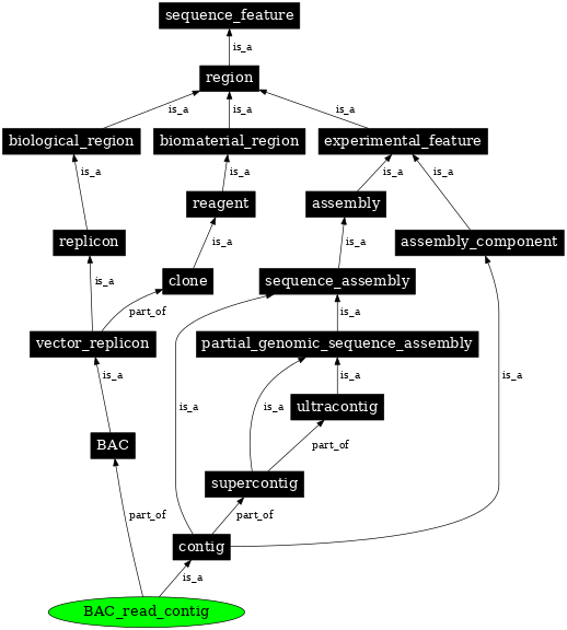 Graph image for SO:0001866