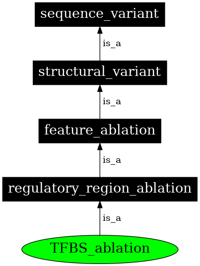 Graph image for SO:0001895