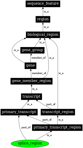 Graph image for SO:0001902