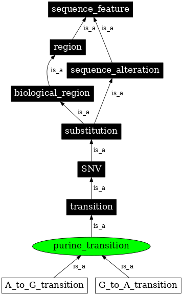Graph image for SO:1000014